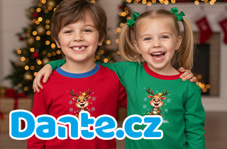 Vánoční nažehlovačky – kouzlo Vánoc na každém tričku | Dante.cz