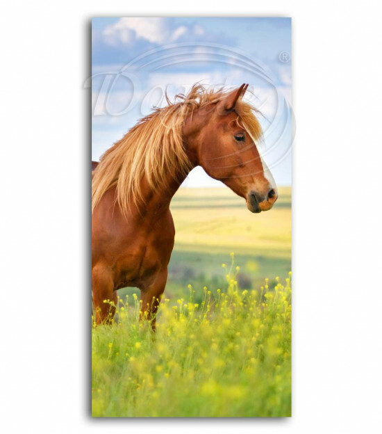 Osuška Kůň hnědák - ART17702