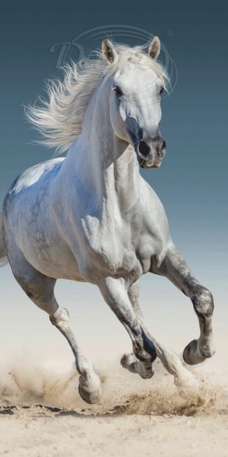 Osuška Bílý kůň - ART11614