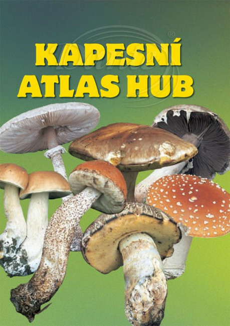 Kniha Kapesní atlas hub - ART03281