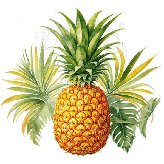 Nažehlovačka Ananas a listy - NAŽ085/hl