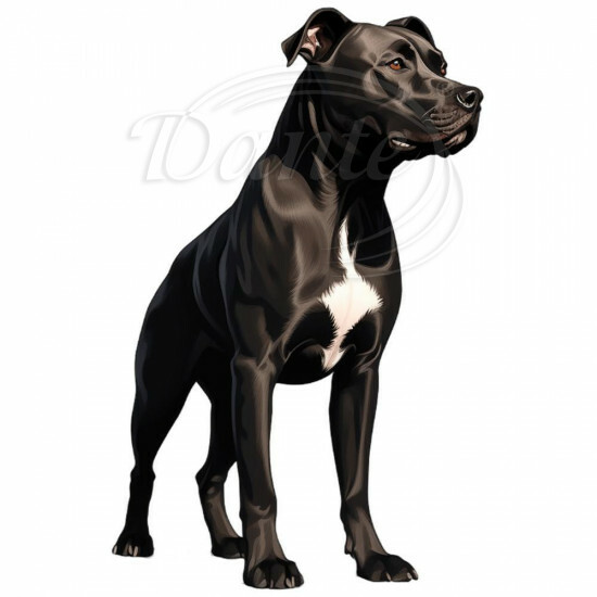 Nažehlovačka Pitbull černý - NAŽ261/hl