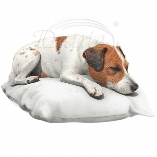 Nažehlovačka Jack Russel na polštáři - NAŽ202/hl