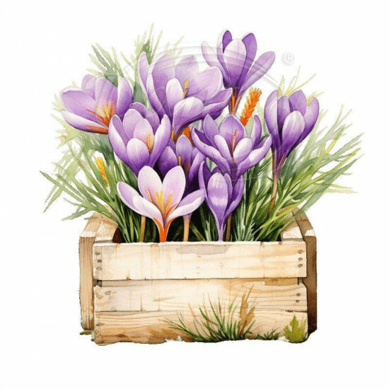 Nažehlovačka Krokusy v bedýnce - NAŽ919/hl