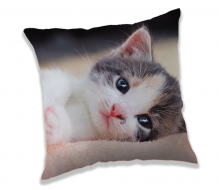 Povlak na polštářek Kitten