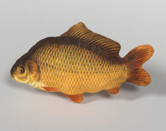 Polštářek Kapr