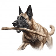 Nažehlovačka Belgický malinois s klackem