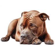 Nažehlovačka Pitbull hnědý