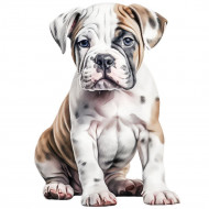 Nažehlovačka Americký buldog štěně