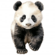 Nažehlovačka Panda mládě