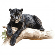 Nažehlovačka Panther černý