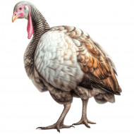 Nažehlovačka Morka