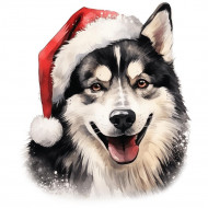 Nažehlovačka Husky s vánoční čepicí