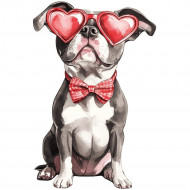 Nažehlovačka Americký staford brýle srdce