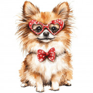 Nažehlovačka Pomeranian a brýle se srdíčky