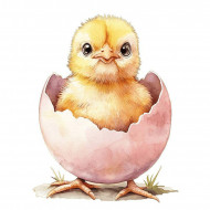 Nažehlovačka Kuřátko ve vajíčku