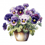 Nažehlovačka Macešky v květináči