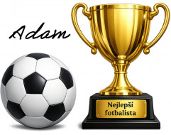 Nažehlovačka Nejlepší fotbalista a Váš text