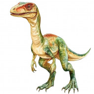 Nažehlovačka Malý raptor