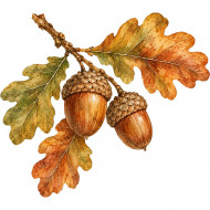 Nažehlovačka Větvička s dvěma žaludy